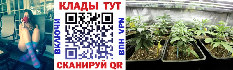 Купить наркотики Тихорецк НБОМе  Кокаин  Псилоцибиновые грибы  ГАШ  Марихуана  МЕТАМФЕТАМИН 