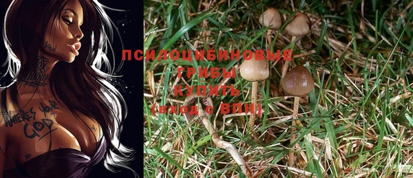 альфа пвп Покачи